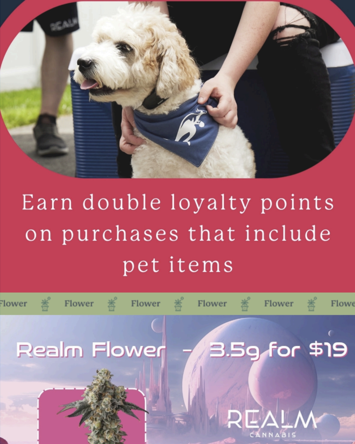 Creative visual design project showcasing promotional artwork