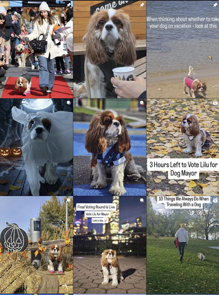 Screenshot of UI or website design project from portfolio