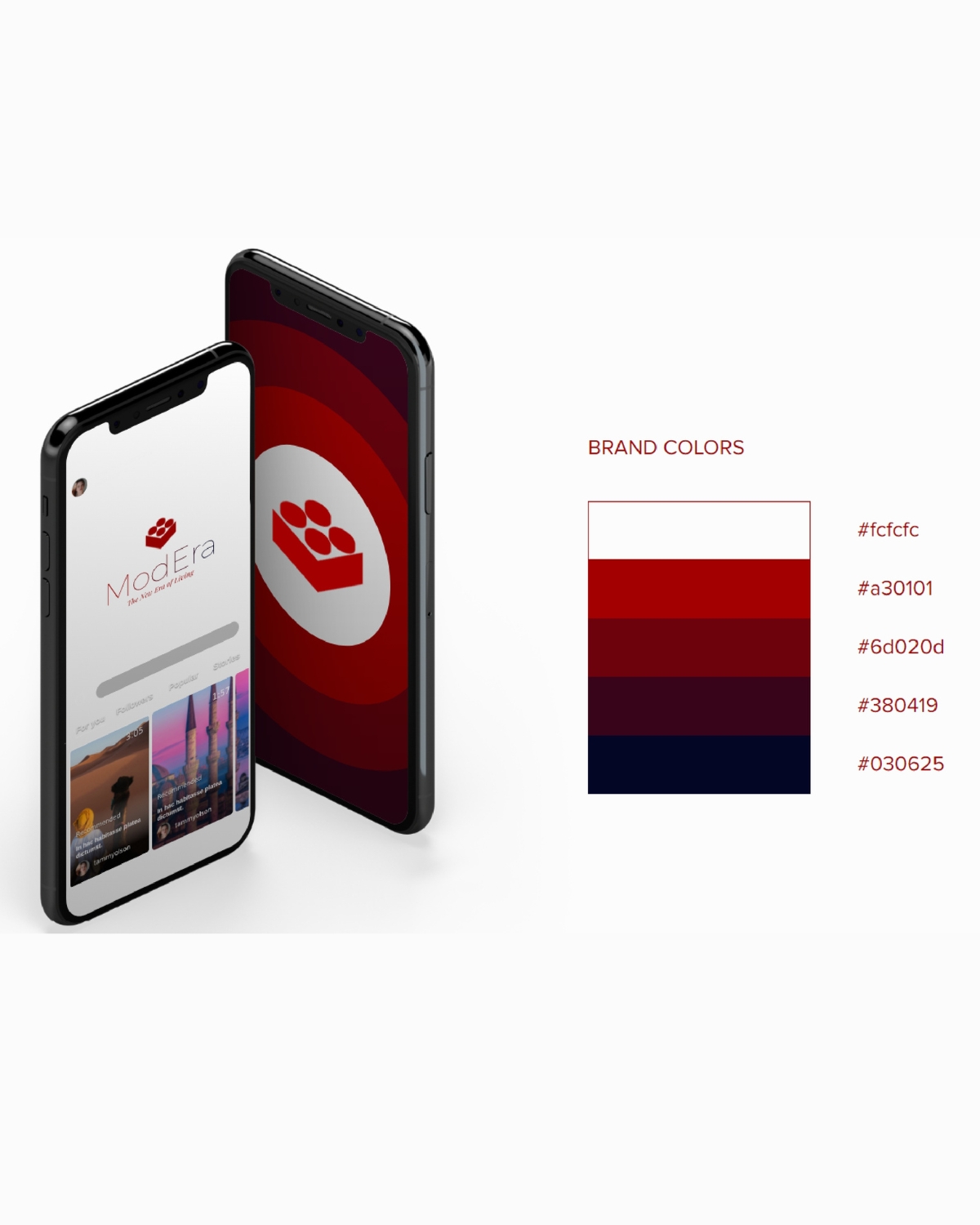 Brand identity visual design concept showcasing modern style